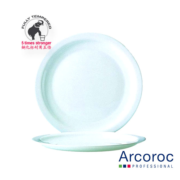 Arc Hoteliere plate 23.5cm