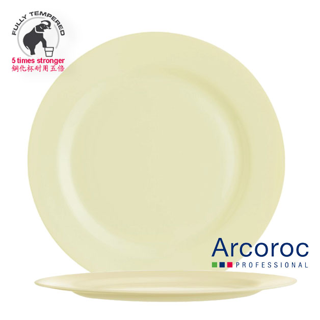 Arc Intensity Dinner Plate 27.5cm
